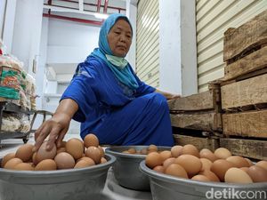 Harga Telur di Ponorogo Terus Naik, Tembus Rp 28 Ribu per Kg Harga Telur di Ponorogo Terus Naik, Tembus Rp 28 Ribu per Kg