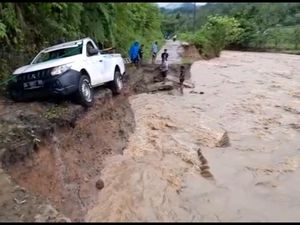 Penampakan Banjir Bandang Mamasa: Sawah Rusak, Jalan Terputus