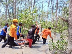 Kakek 64 Tahun yang 3 Hari Hilang Ditemukan Tewas di Hutan Bakau