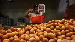Sabar Ya Emak-emak, Harga Telur Naik Lagi dan Lagi