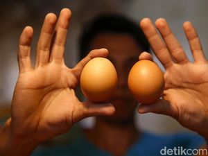 Harga Telur Tembus di Atas Rp 30.000/Kg, Pedagang: Tertinggi dalam 5 Tahun