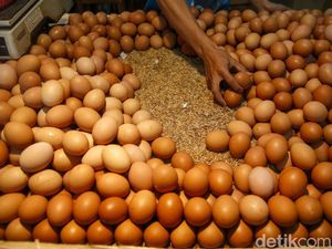 Zulkifli Hasan Vs Risma soal Biang Kerok Telur Mahal