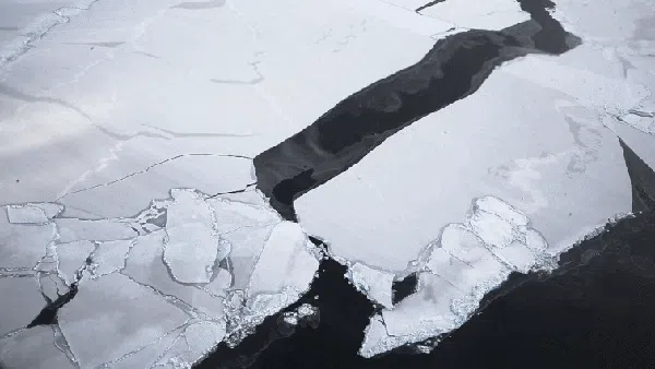 Brr... Menjelajahi Dinginnya Antartika dalam Bingkai Foto