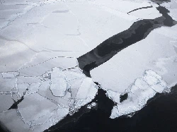 Apakah Antartika Bisa Dihuni Manusia? Ini Kemungkinannya