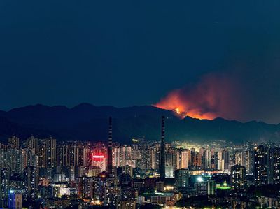 Hutan Bambu di China Terbakar Hebat, Apinya Keliatan dari Kejauhan