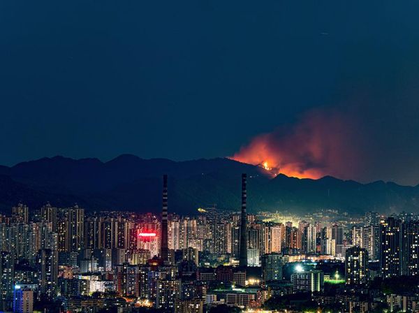 Hutan Bambu di China Terbakar Hebat, Apinya Keliatan dari Kejauhan