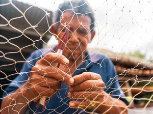 Pasokan Lancar, Nelayan Butuh 200 Liter Solar Subsidi Sekali Melaut