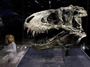Ini yang Terjadi Jika Dinosaurus Masih Hidup hingga Sekarang