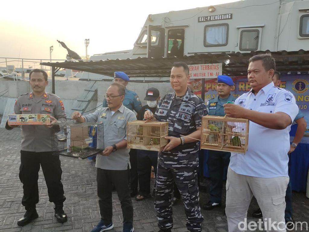 Bawa 50 Ekor Cucak Ijo-Kapas Tembak Tanpa Dokumen, 2 ABK Dibekuk di Semarang