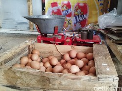 Harga Telur Ayam di Semarang Melejit, Pedagang: Naiknya Kebangetan!