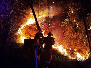 Panas Estrem di China Bikin Hutan Sichuan Terbakar Hebat