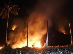 Hutan Perhutani di Situbondo Terbakar