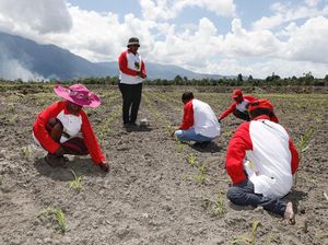 Pemuda Binaan BIN Fasilitasi Petani Papua Kelola Lahan Jagung 83,62 Ha