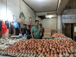 Dinsos Makassar Bantah Kenaikan Harga Telur gegara Bansos