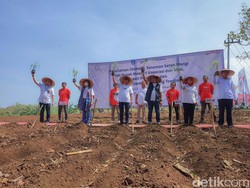 Kemenkop UKM Ajak Petani Tanam Serai Wangi dan Jahe Merah