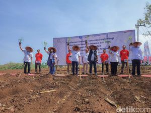 Kemenkop UKM Ajak Petani Tanam Serai Wangi dan Jahe Merah Kemenkop UKM Ajak Petani Tanam Serai Wangi dan Jahe Merah