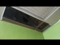 Kaur Diguncang Gempa, 1 Rumah Warga Alami Kerusakan Ringan