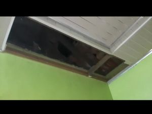Kaur Diguncang Gempa, 1 Rumah Warga Alami Kerusakan Ringan Kaur Diguncang Gempa, 1 Rumah Warga Alami Kerusakan Ringan