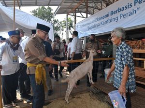 Latih Santri Jadi Entrepreneur, Sandiaga Beri Bantuan Bibit Kambing