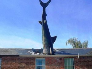 Menurutmu, 5 Foto Ini Karya Seni atau Bukan? Menurutmu, 5 Foto Ini Karya Seni atau Bukan?