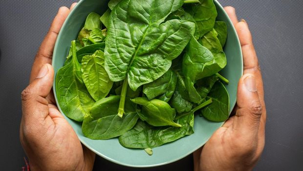 makanan tinggi kalsium