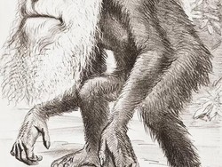 Eksperimen Kontroversial Uni Soviet Ciptakan Manusia Kera