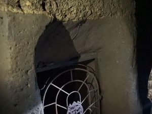 Menyusuri Gua Buatan Sepanjang 60 Meter di Kebun Warga Mojokerto Menyusuri Gua Buatan Sepanjang 60 Meter di Kebun Warga Mojokerto