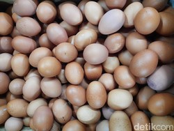 Stok Telur Dijamin Melimpah untuk Nataru-MBG