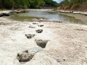 Video Tapak Kaki Dinosaurus Muncul Lagi di Sungai yang Mengering Video Tapak Kaki Dinosaurus Muncul Lagi di Sungai yang Mengering