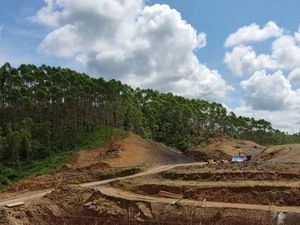 Waduh! Mafia Tanah Disebut Banyak Bermunculan di IKN