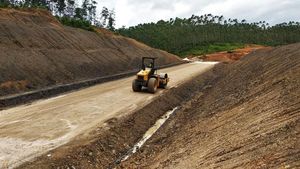 Jokowi Bangun Jalan Lingkar Sepaku di IKN, Ini Penampakannya