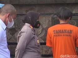 Komeng Diringkus Polisi gegara Tanam Pohon Ganja di Rumah