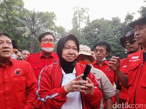 Mensos Risma Bantah Bansos Jadi Penyebab Harga Telur Naik
