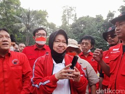 Mensos Risma Bantah Bansos Jadi Penyebab Harga Telur Naik
