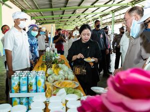 Raih detikcom Awards, Puan Maharani Jadi Tokoh Perempuan Penggiat UMKM