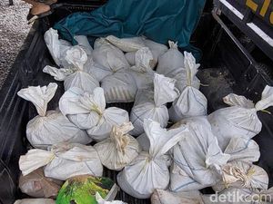Penambang Ilegal Ditangkap di Babel, Polisi Sita 1 Ton Pasir Timah Penambang Ilegal Ditangkap di Babel, Polisi Sita 1 Ton Pasir Timah