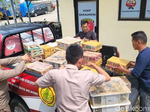 Ratusan Burung Tanpa Dokumen Disita di Pelabuhan Bakauheni