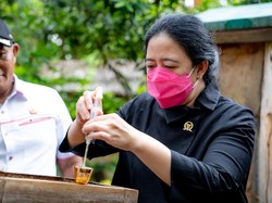 Puan Pamer Hasil Kunker: Kamu Bertanyea-tanyea Saya Ngapain Aja?