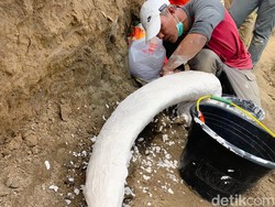 Bandung Barat Harus Punya Museum Benda Purba Sendiri!