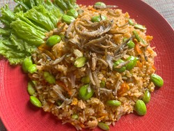 Resep Nasi Goreng Pete dan Teri yang Sedap Enak Buat Makan Malam