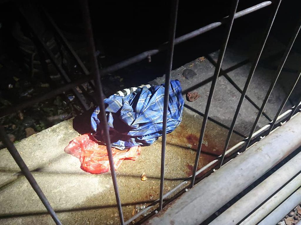 Warga di Samarinda Geger Temuan Mayat Bayi Membusuk, Polisi Selidiki