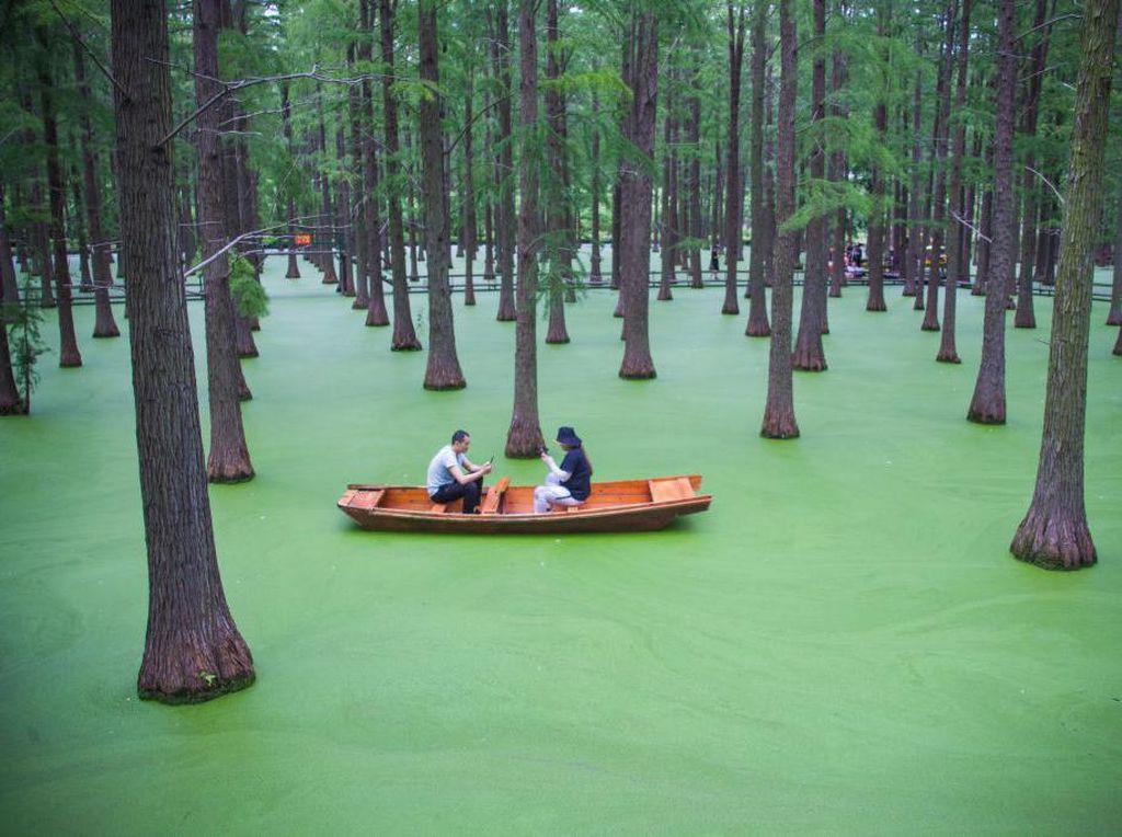 Fotojenik, Naik Sampan di Danau yang Menyatu dengan Hutan di China