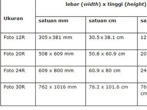 7 Cara Memperbesar Ukuran Foto Secara Online dan Offline