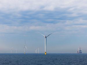 Belanda Buka Ladang Rumput Laut 5 Hektar dalam Kebun Angin untuk Serap CO2