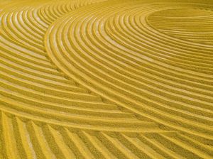 Cara Unik Petani China Menjemur Gabah, Aesthetic Banget Gaes!