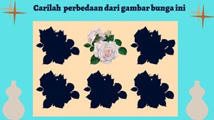 Yakin Sudah Jeli? Coba Temukan Apa yang Beda di Gambar Ini