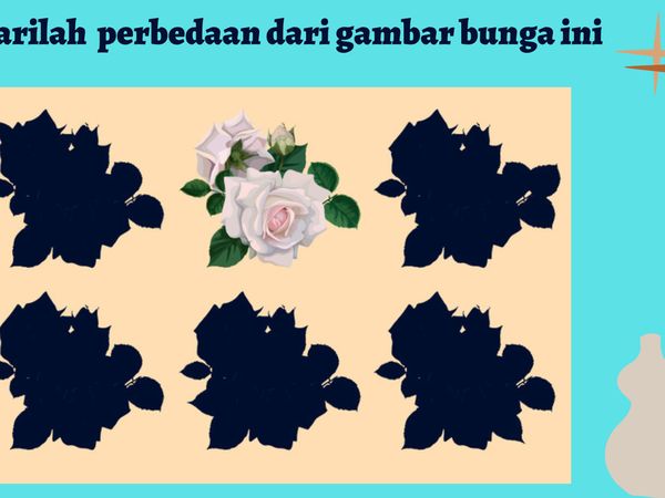 Yakin Sudah Jeli? Coba Temukan Apa yang Beda di Gambar Ini