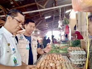 Harga Telur Ayam di Parepare Naik Drastis, Kini Tembus Rp 62 Ribu/Rak