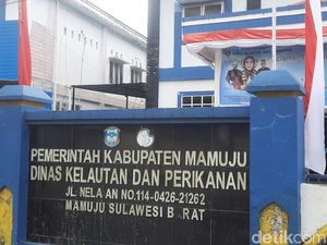 Kasus Oknum ASN di Mamuju Diduga Tipu Warga Rp 400 Juta Diadukan ke Polisi Kasus Oknum ASN di Mamuju Diduga Tipu Warga Rp 400 Juta Diadukan ke Polisi