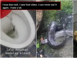 Pria Ini Ternak Ikan Lele di Septic Tank untuk Dikonsumsi